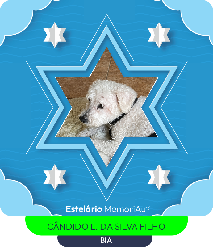 Estrela em homenagem a BIA
