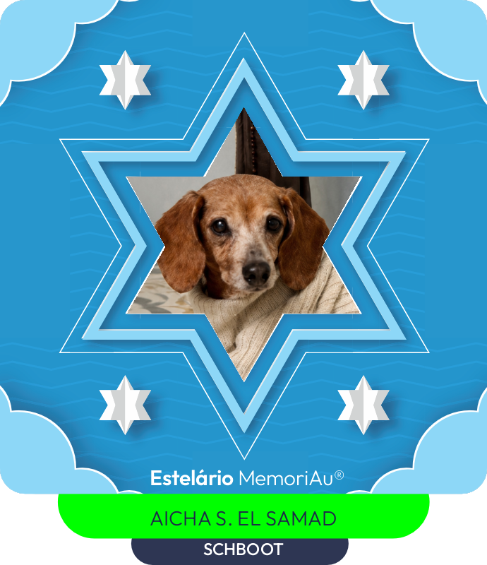 Estrela em homenagem a SCHBOOT