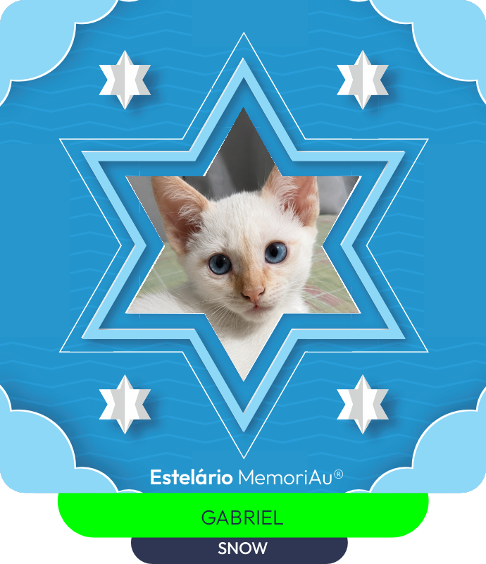 Estrela em homenagem a SNOW