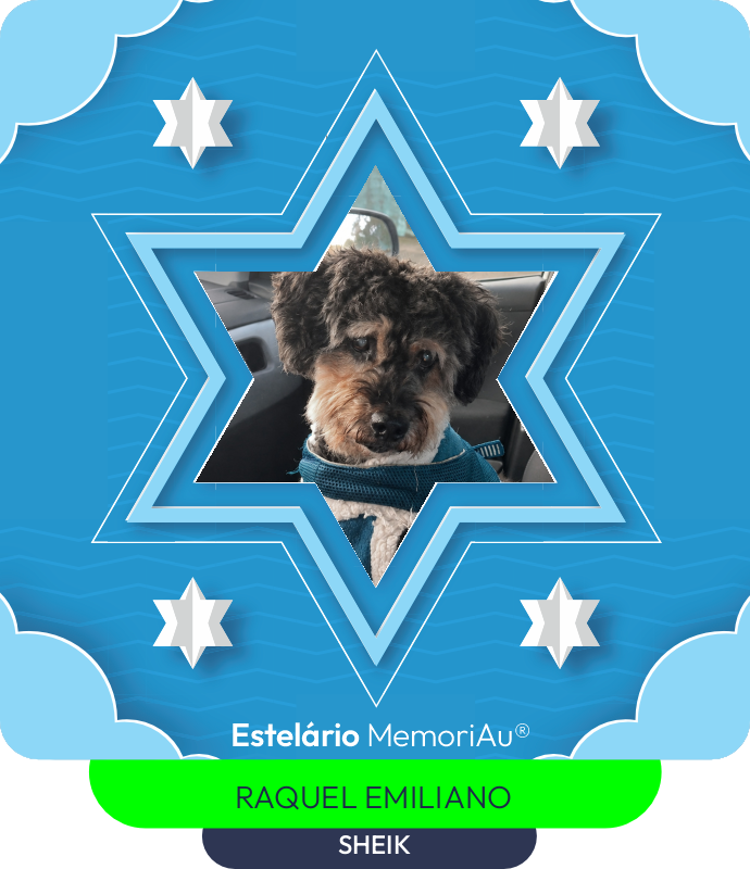 Estrela em homenagem a SHEIK
