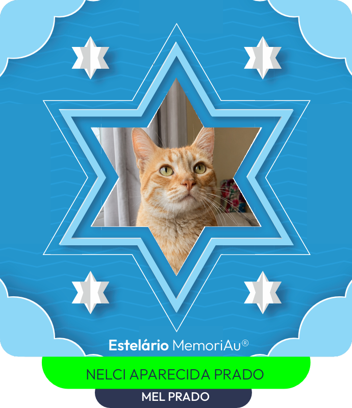 Estrela em homenagem a MEL PRADO
