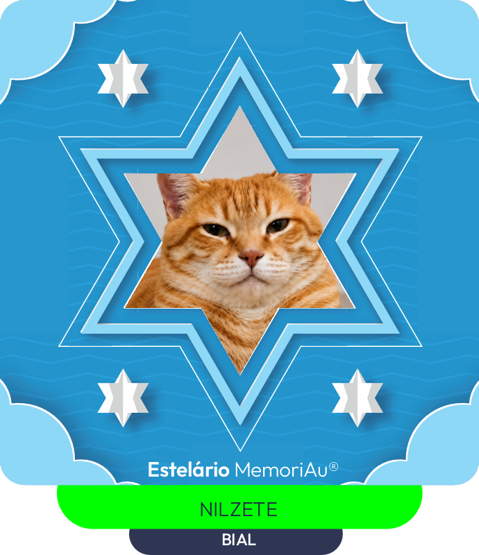 Estrela em homenagem a BIAL