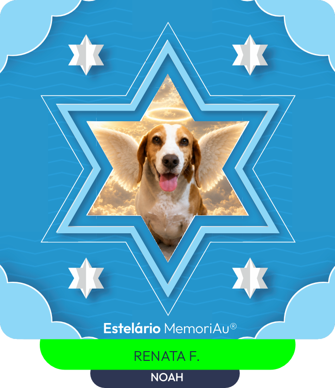 Estrela em homenagem a NOAH