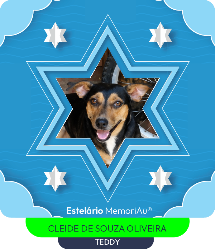 Estrela em homenagem a TEDDY