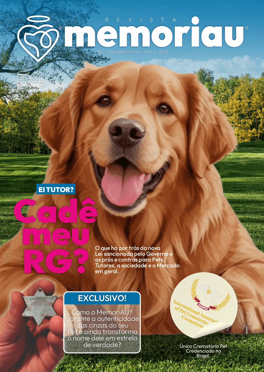 Capa da Revista MemoriAu
