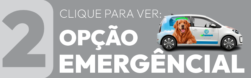 Imagem Atitude Emergencial