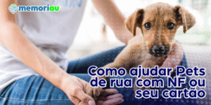 Saiba como ajudar a causa animal mesmo sem ter um pet em casa.