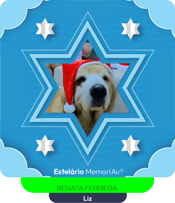 Liz, golden retriever de pelo dourado usando gorro natalino, nossa estrela eterna