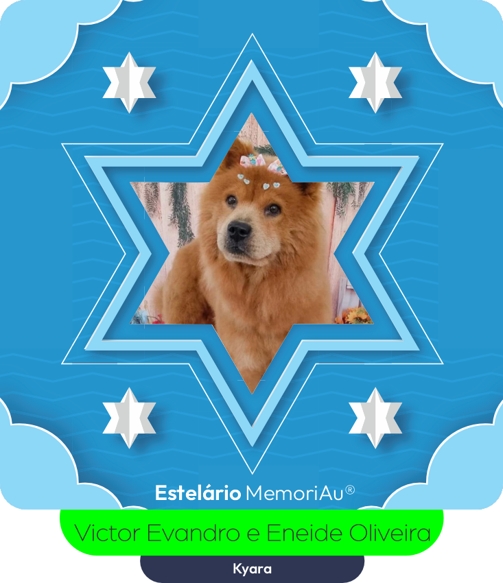 Kyara, chow-chow caramelo com laços na cabeça, lembrança de Victor Evandro de Oliveira Ottoni e Eneide Oliveira