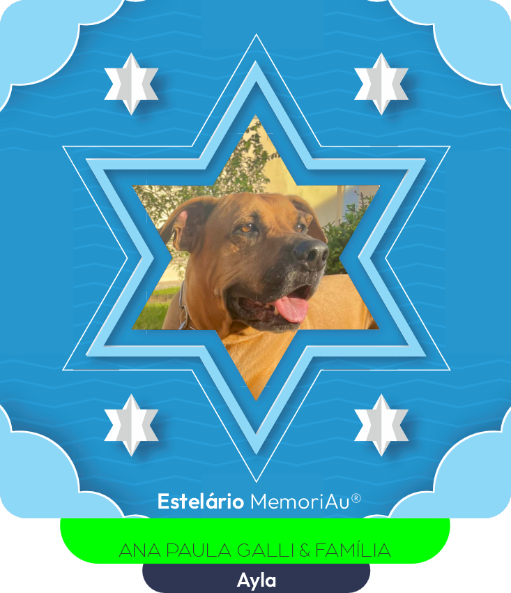 Ayla, cadela de porte grande de pelagem caramelo deitada na grama ao sol, olhando para o lado, nossa estrela eterna