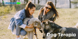 Dog terapia: como passear com o cachorro pode cuidar da mente, criar vínculos e eternizar memórias