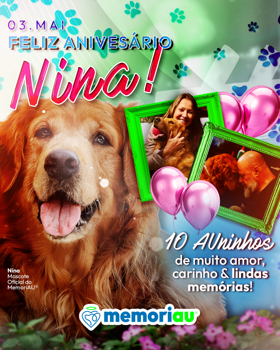 Nina, a golden retriever que inspirou a MemoriAU